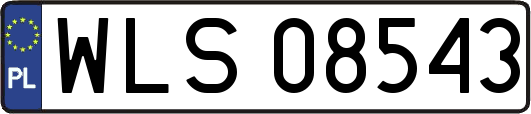 WLS08543