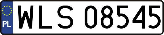 WLS08545
