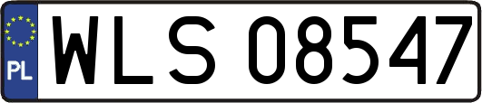 WLS08547