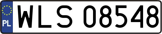 WLS08548