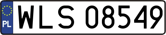 WLS08549
