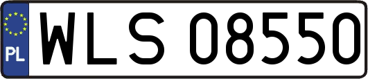 WLS08550
