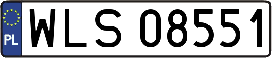 WLS08551