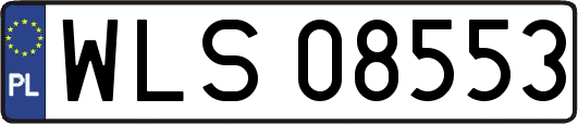 WLS08553
