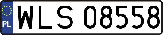 WLS08558