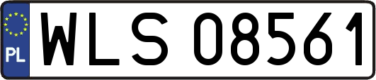 WLS08561