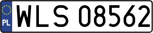 WLS08562