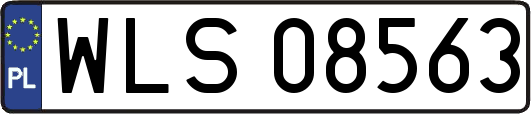 WLS08563