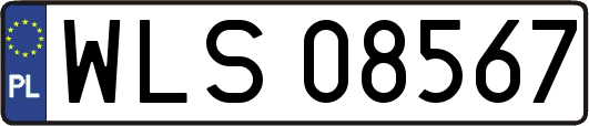 WLS08567