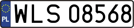 WLS08568