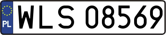 WLS08569