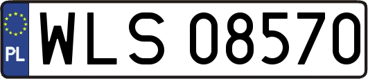 WLS08570