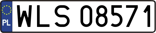 WLS08571