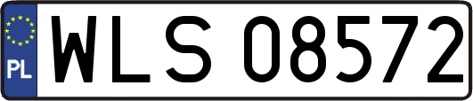 WLS08572