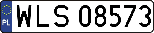 WLS08573