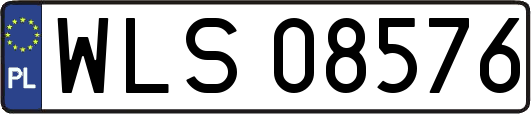 WLS08576
