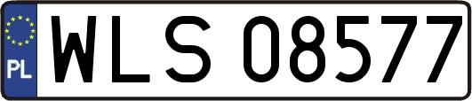WLS08577