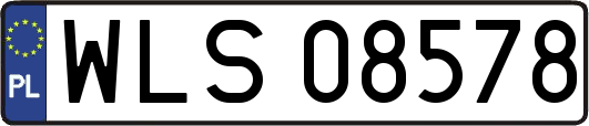 WLS08578