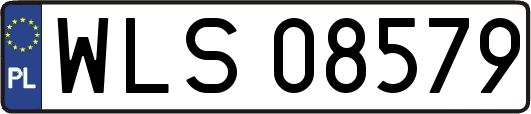 WLS08579