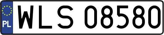 WLS08580