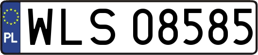 WLS08585