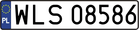 WLS08586