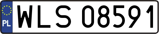 WLS08591