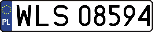 WLS08594
