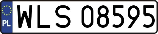 WLS08595