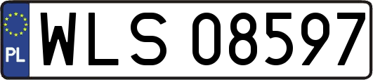 WLS08597