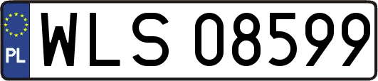 WLS08599