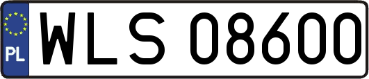 WLS08600