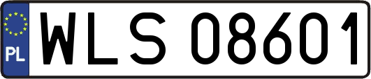 WLS08601