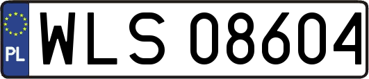 WLS08604
