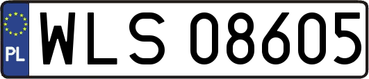 WLS08605