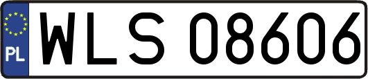 WLS08606