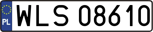 WLS08610