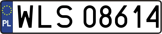 WLS08614