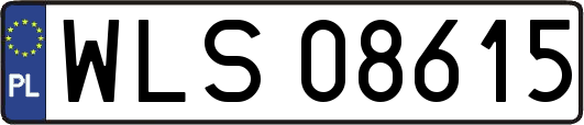 WLS08615