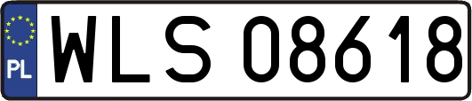 WLS08618