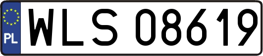 WLS08619