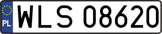 WLS08620