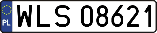 WLS08621