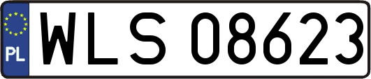 WLS08623