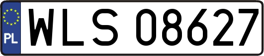 WLS08627
