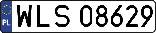 WLS08629