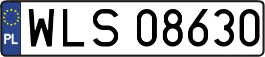 WLS08630