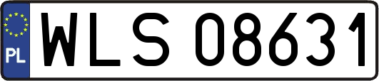 WLS08631