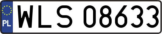 WLS08633