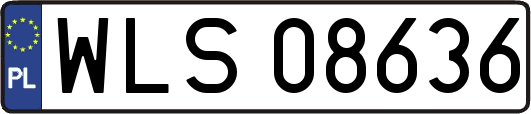 WLS08636